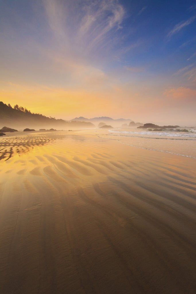 Detail of Sunrise over Crescent Beach, Oregon Coast, Pacific Ocean, Pacific Northwest by Anonymous