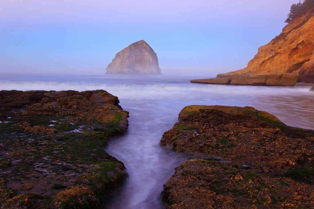 Detail of Beautiful sunrise over Haystack Rock, Cape Kiwanda, Oregon Coast, Pacific Ocean, Pacific Northwest by Anonymous