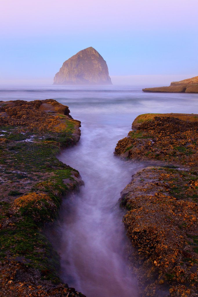 Detail of Beautiful sunrise over Haystack Rock, Cape Kiwanda, Oregon Coast, Pacific Ocean, Pacific Northwest by Anonymous