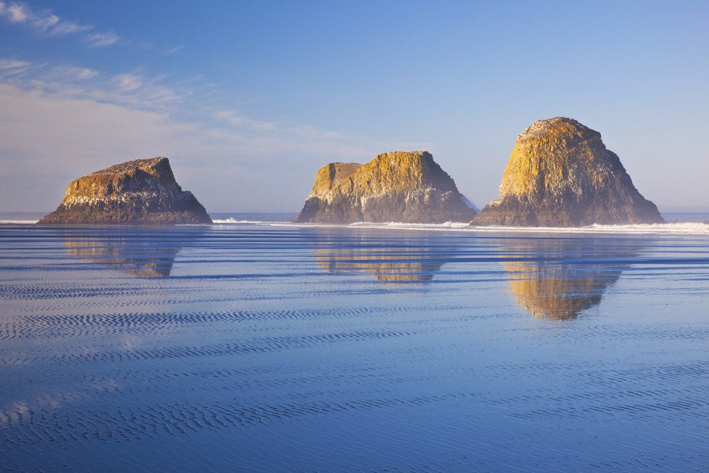 Detail of Crescent Beach along Ecola State Park, Oregon Coast, Pacific Ocean by Anonymous