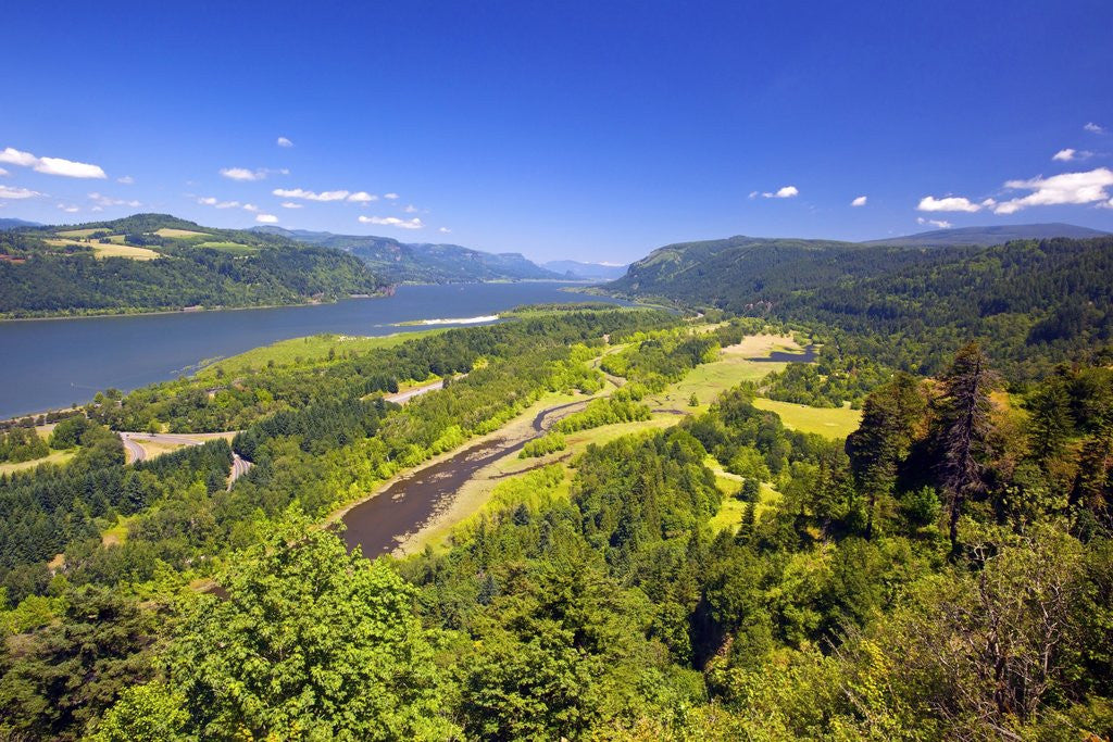 Detail of Columbia River Gorge from Crown Point, Oregon, Columbia River Gorge National Scenic Area, Oregon by Corbis
