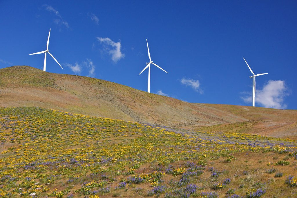 Detail of electric wind turbine in Columbia River National Scenic Area, Washington State. Pacific Northwest by Anonymous