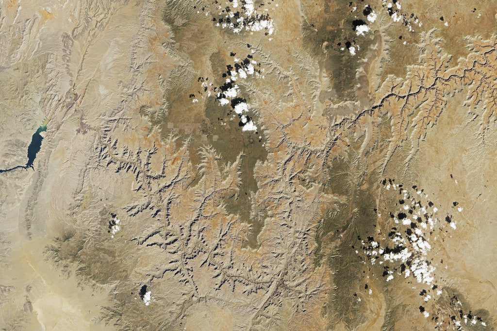 Detail of Satellite view of the Grand Canyon by Anonymous