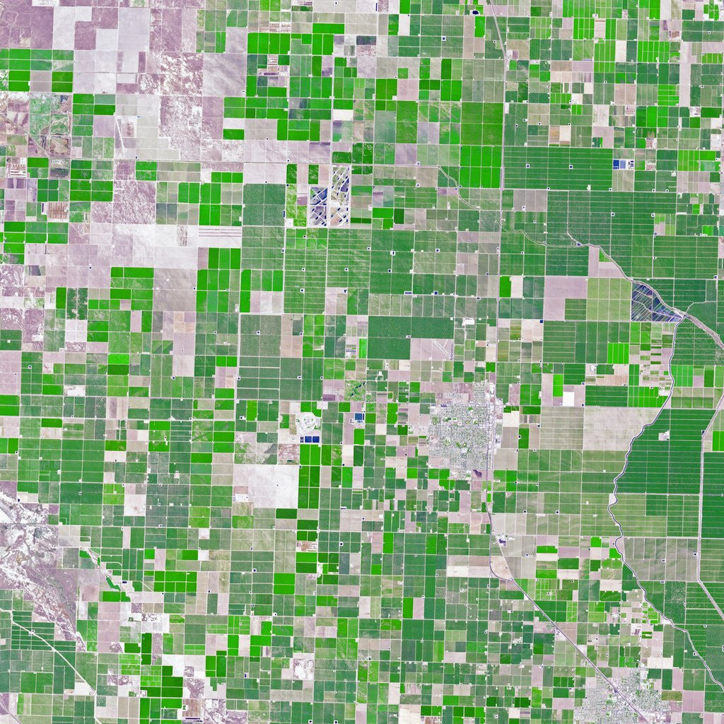 Detail of Agricultural fields near Wasco, California by Anonymous