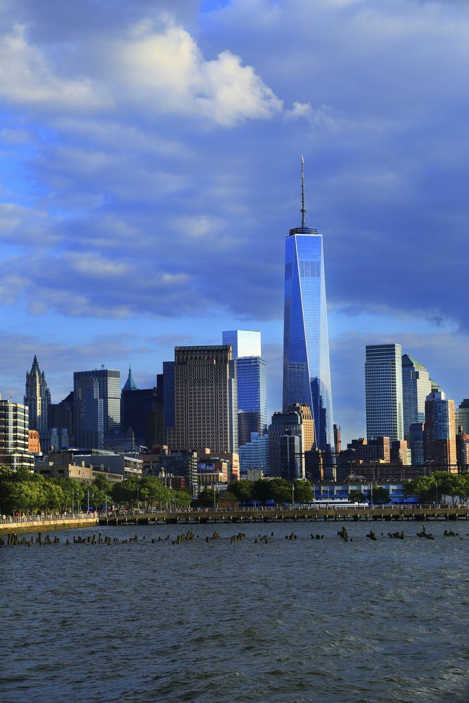 Detail of Downtown view with the Freedom tower from the Hudson River greenway by Anonymous