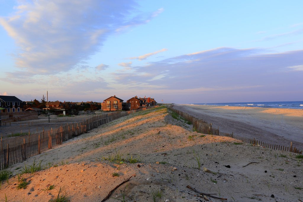 Detail of Fire island, Point O'Woods, Ocean side beach by Anonymous