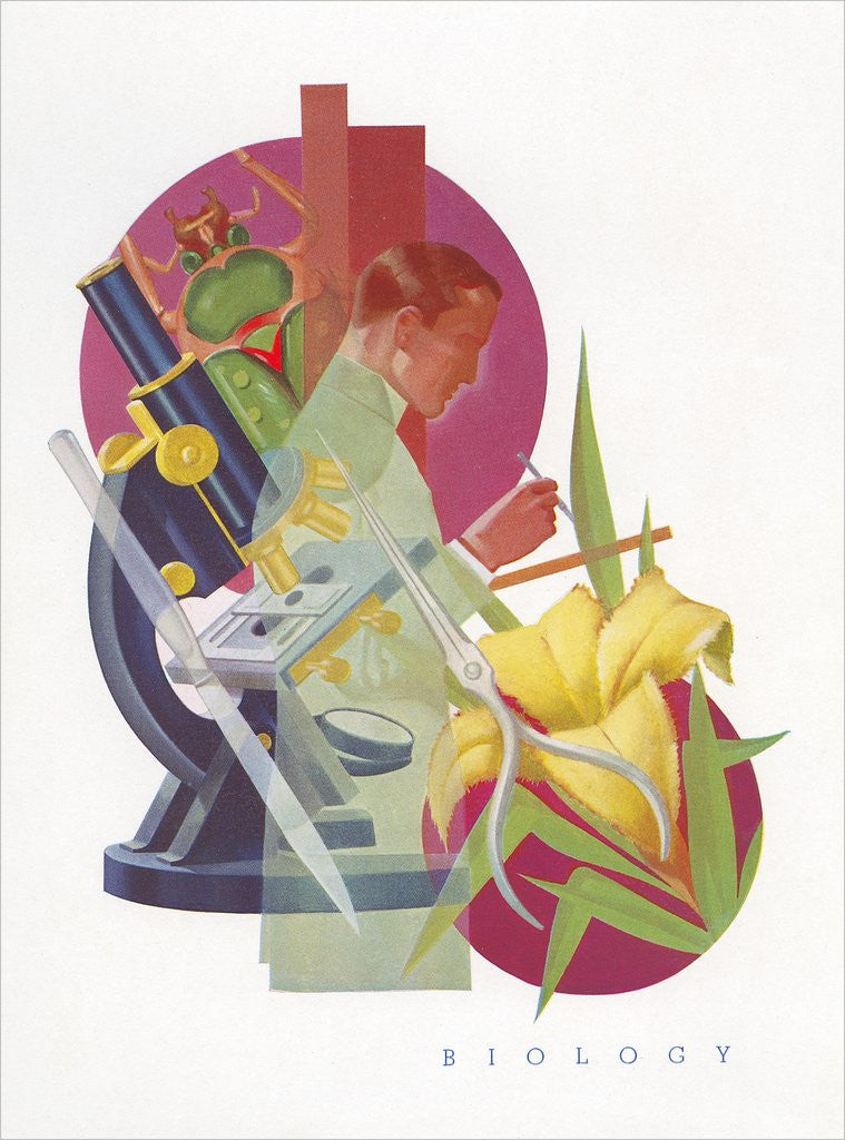 Detail of Biology in the Lab by Anonymous