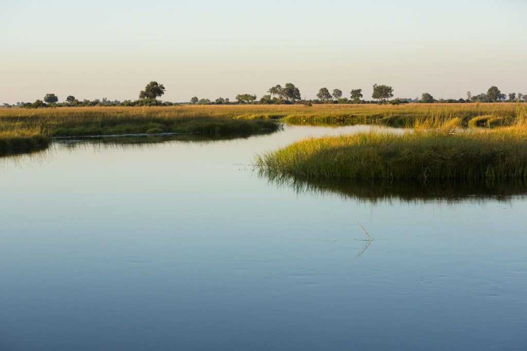 Okavango Delta by Corbis