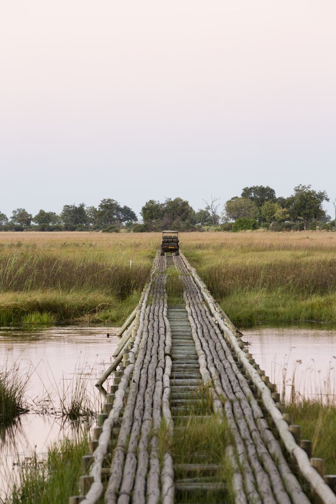 Detail of Safari Vehicle Crossing Bridge by Anonymous