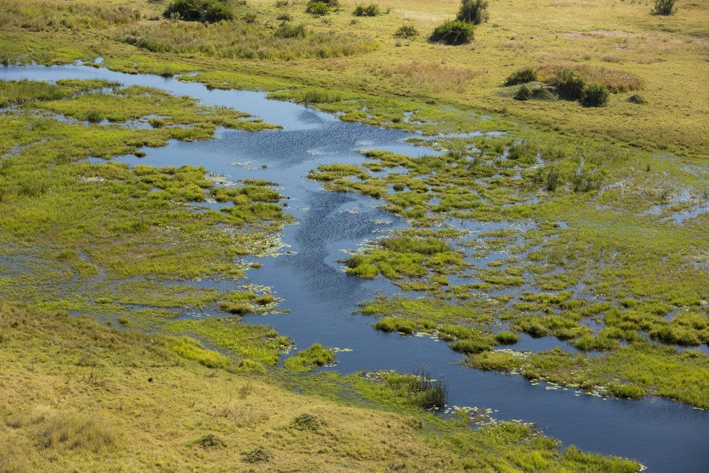 Detail of Okavango Delta Aerial by Anonymous