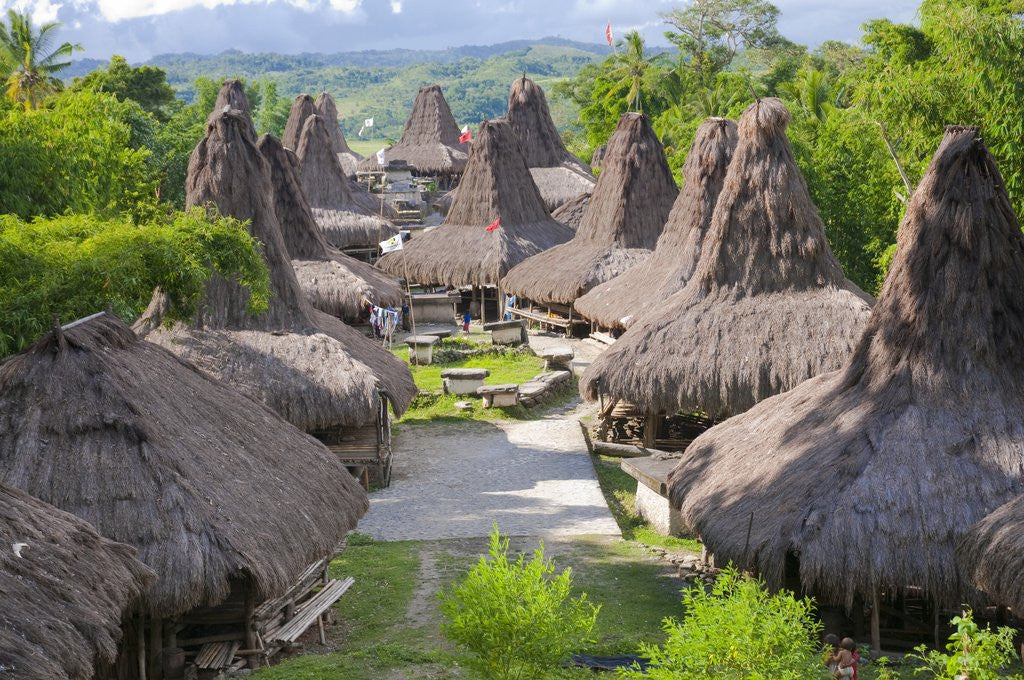 Detail of Praijing village, near Waikabubak, West Sumba by Anonymous