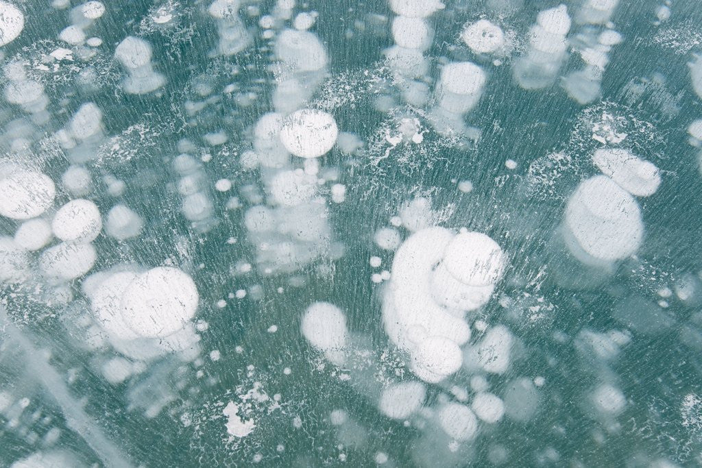 Detail of Ice Bubbles by Anonymous