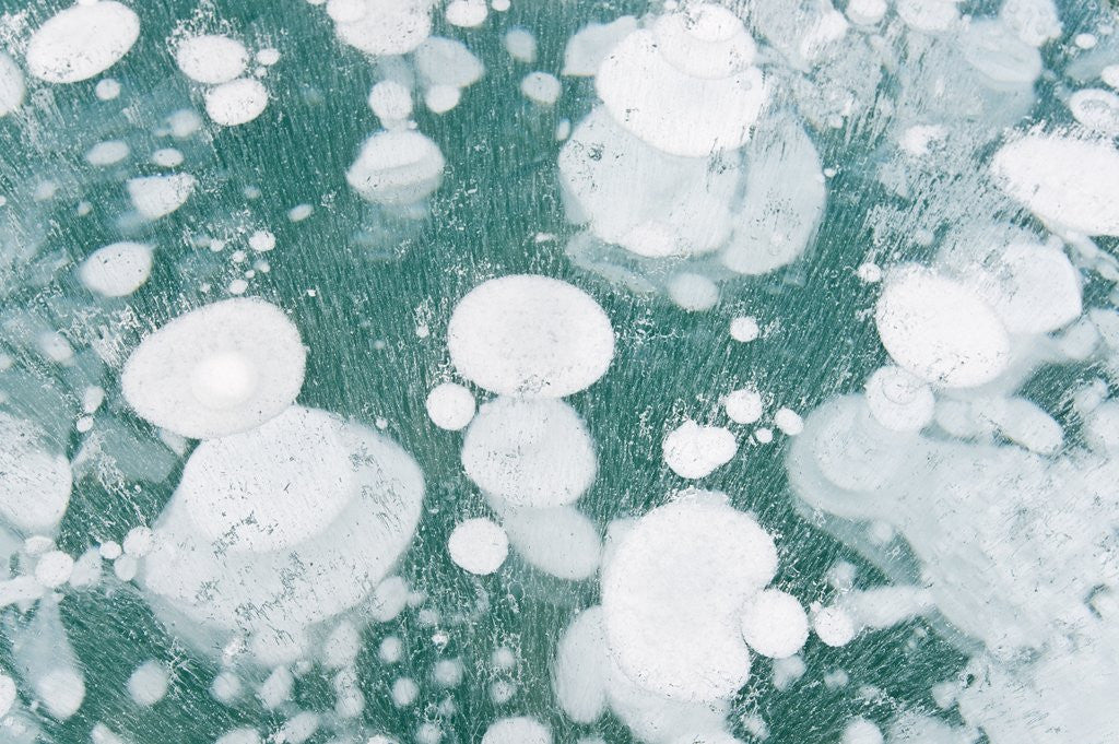 Detail of Ice Bubbles by Anonymous