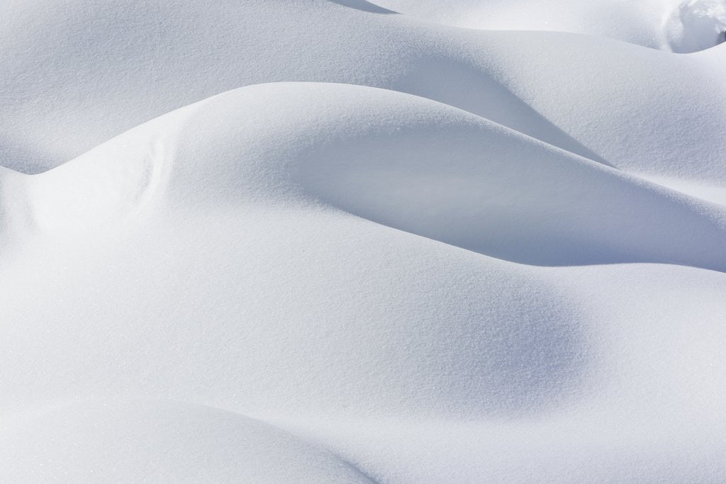 Detail of Snow Mounds by Anonymous