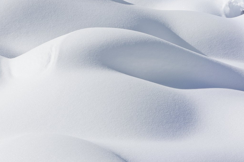 Detail of Snow Mounds by Corbis