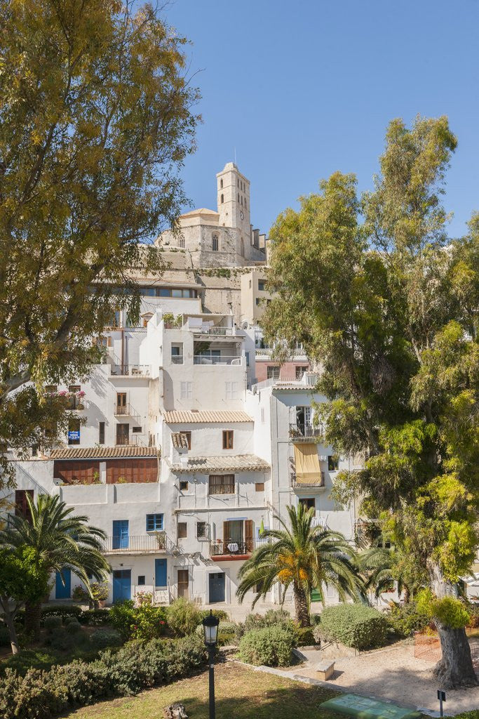 Detail of Balearic Islands - view of Dalt Vila (the old town) and the Cathedral by Anonymous