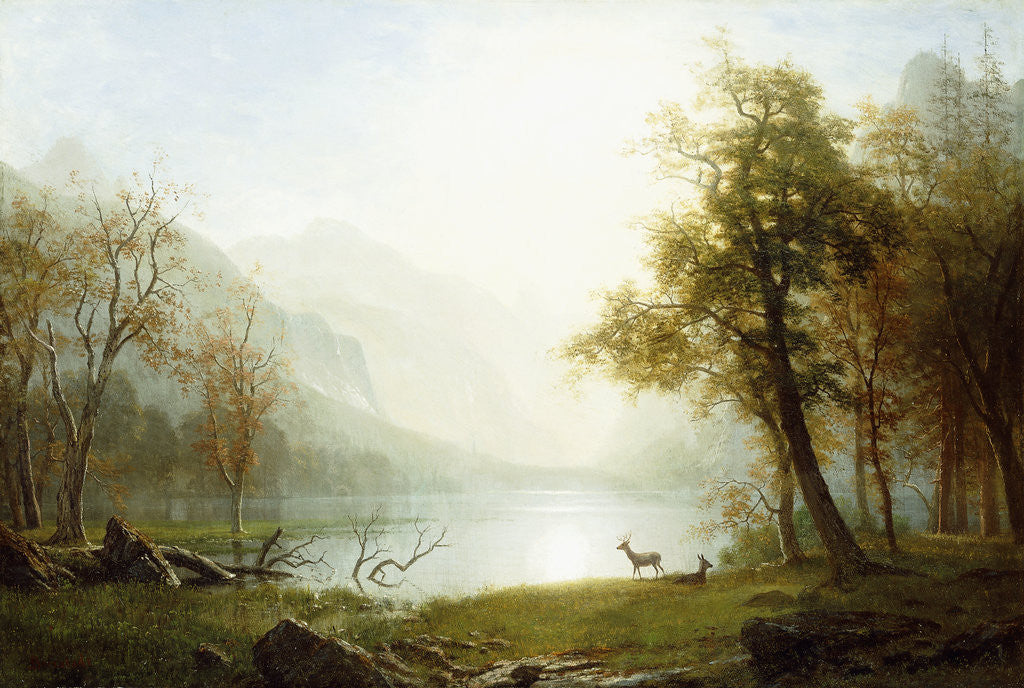 Detail of Valley in King's Canyon by Albert Bierstadt