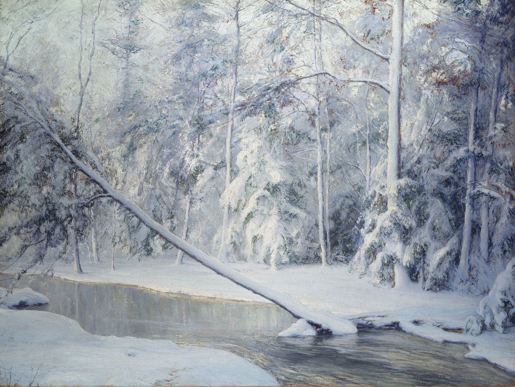 Detail of The Leaning Tree by Walter Launt Palmer