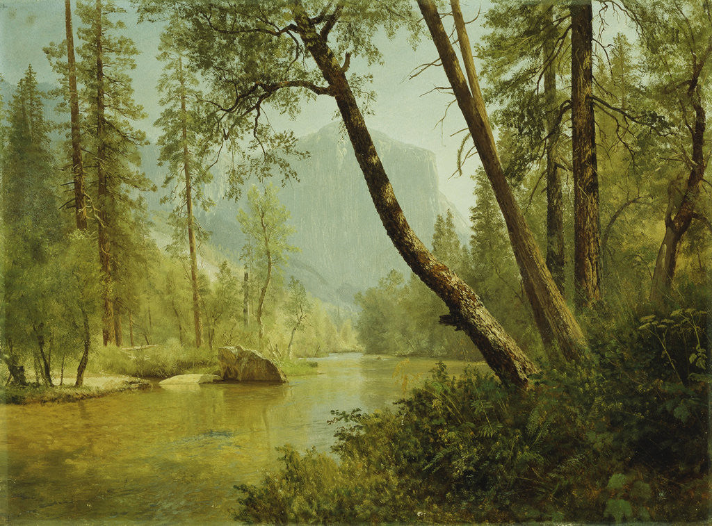 Detail of Sunlit Forest (Merced River, Yosemite Valley) by Albert Bierstadt