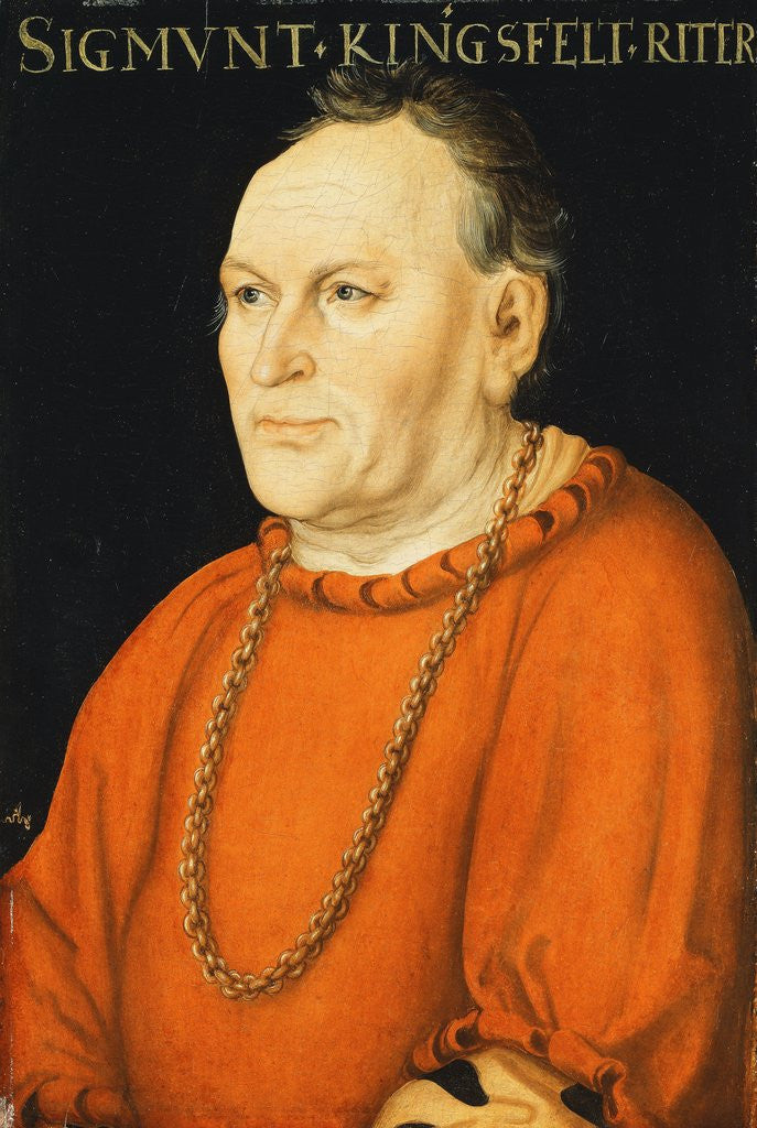 Detail of Portrait of Sigmunt Kingsfelt, half-length, wearing a red costume by Lucas Cranach