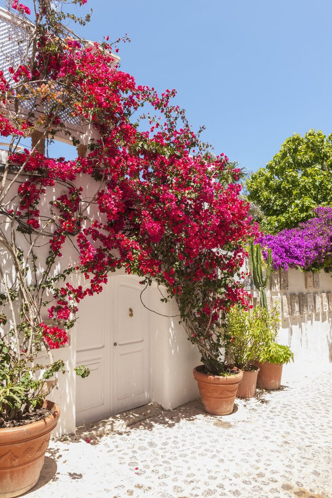 Detail of Balearic Islands - view of the old town by Anonymous