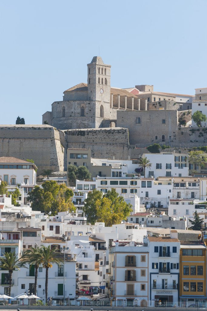 Detail of Balearic Islands - view of Dalt Vila (the old town) and the Cathedral by Anonymous