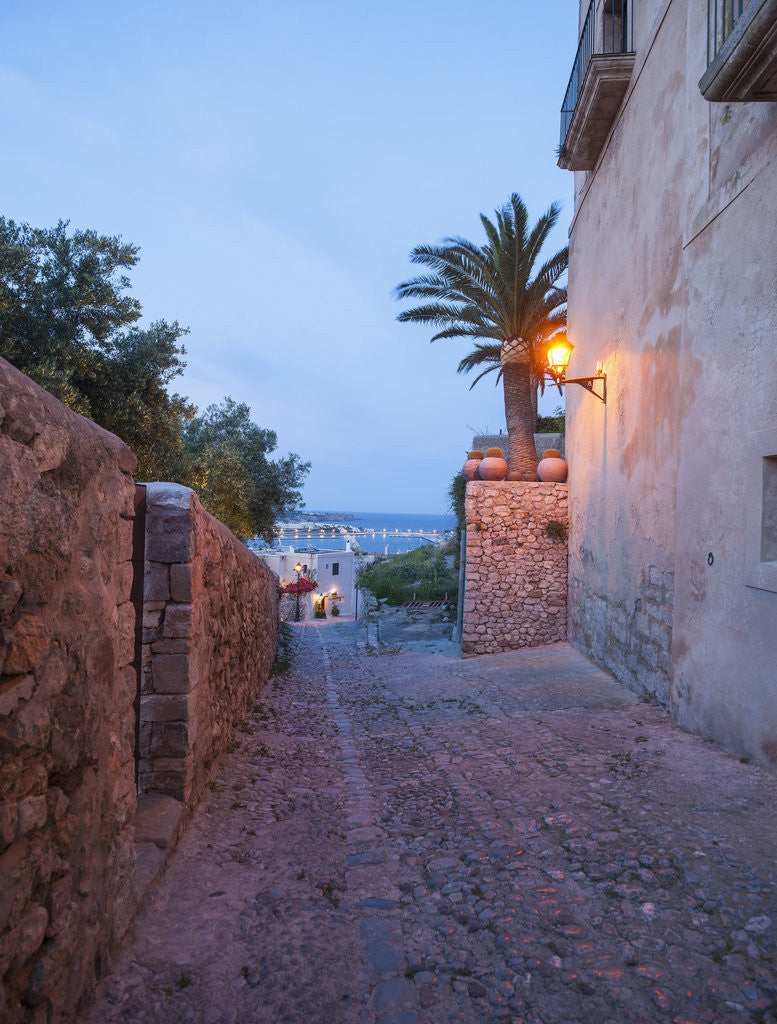 Detail of Balearic Islands - view of the old town by Anonymous