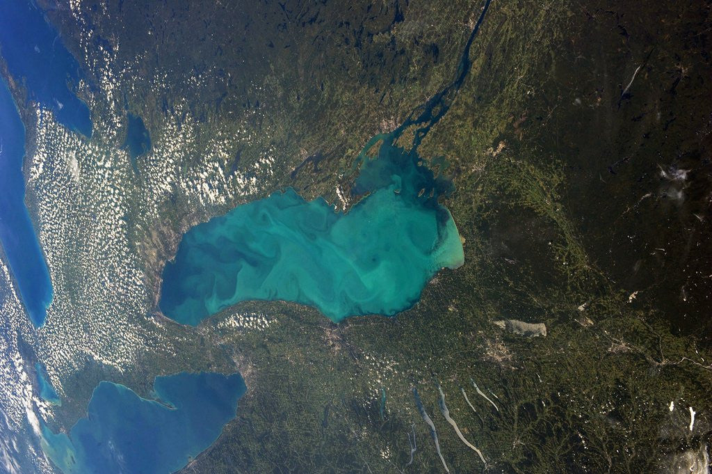 Detail of Whiting event, Lake Ontario by Anonymous