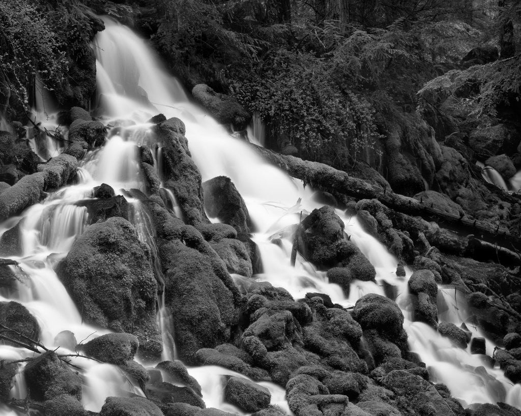 Detail of Clearwater Falls by Anonymous
