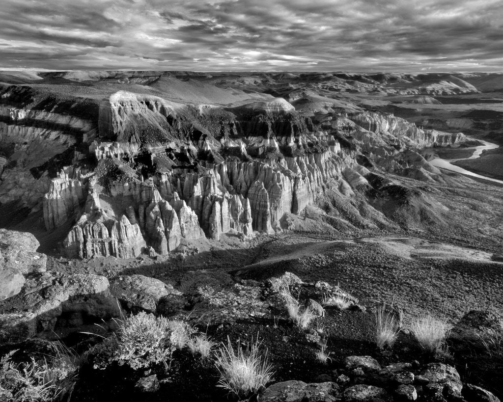 Detail of Chalk Basin by Anonymous