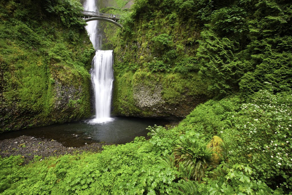 Detail of Multnomah falls, in Columbia River Gorge National Scenic Area, Oregon by Anonymous