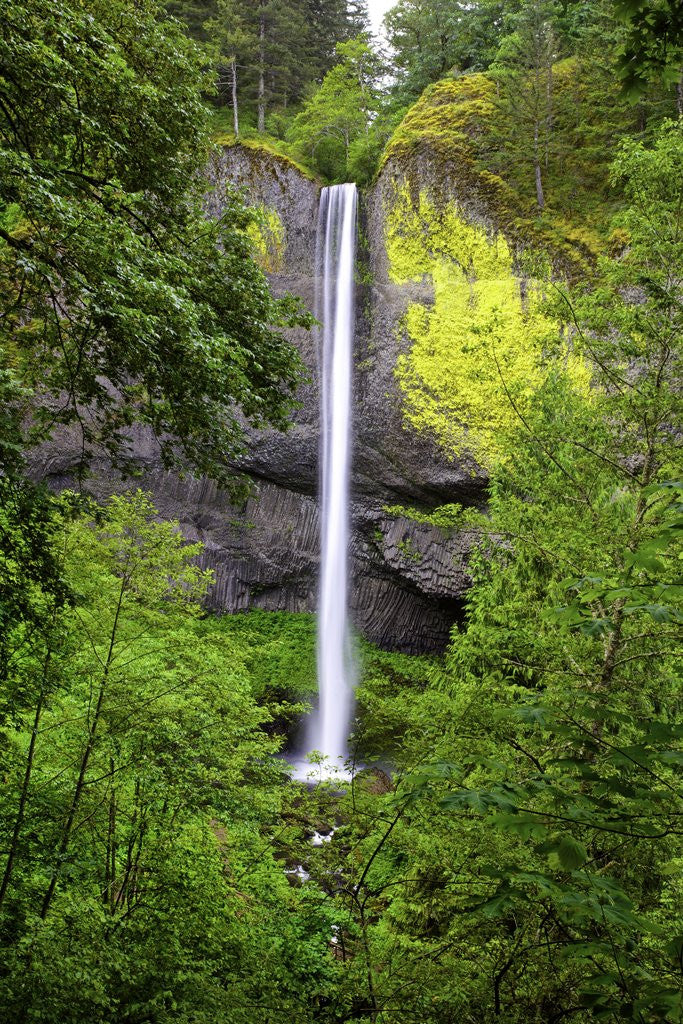 Detail of Latourell falls, in Columbia River Gorge National Scenic Area, Oregon by Corbis