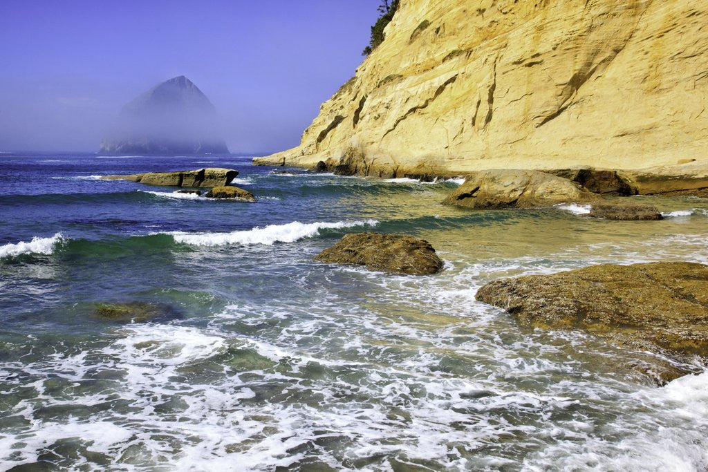 Detail of Haystack Rock, Cape Kiwanda, Oregon Coast, Pacific Ocean, Pacific Northwest by Anonymous