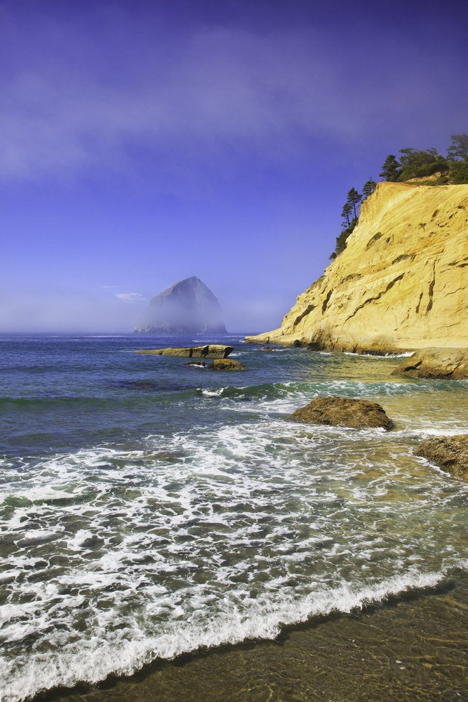 Detail of Haystack Rock, Cape Kiwanda, Oregon Coast, Pacific Ocean, Pacific Northwest by Anonymous