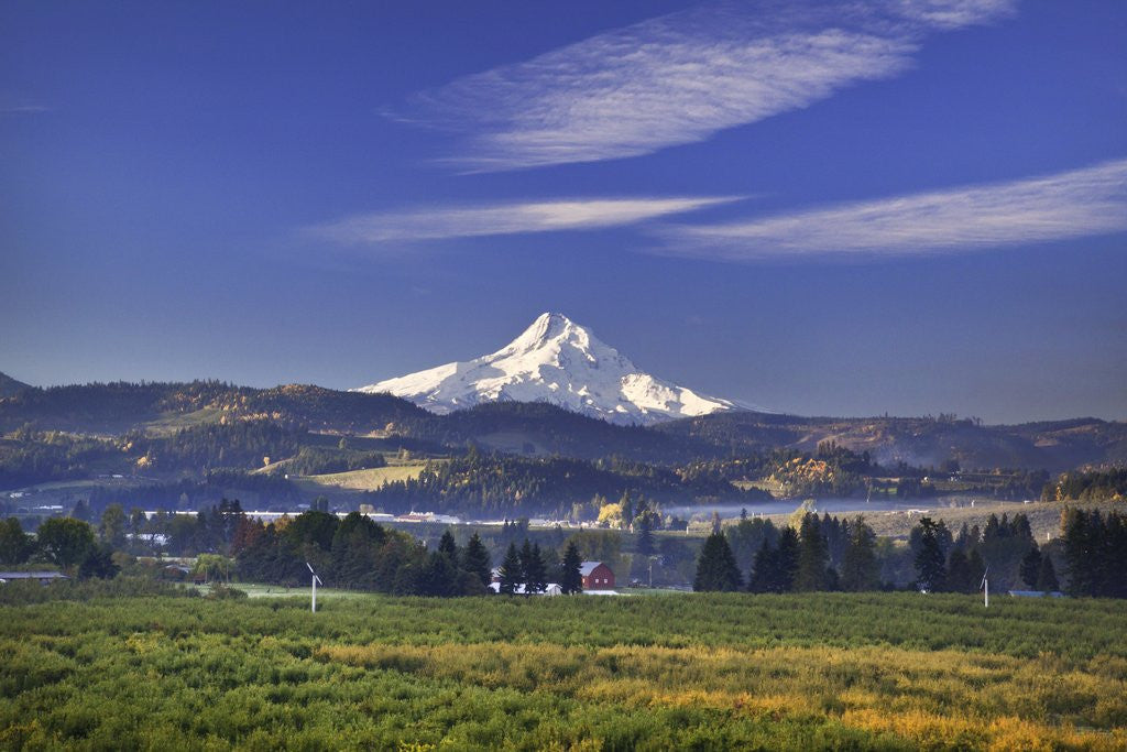 Detail of Mt. Hood, Hood River Valley, Columbia River Gorge National Scenic Area, Oregon by Anonymous