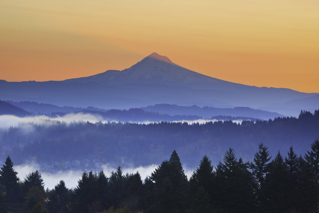Detail of Sunrise through morning fog adds beauty to Happy Valley, Oregon, Pacific Northwest by Anonymous
