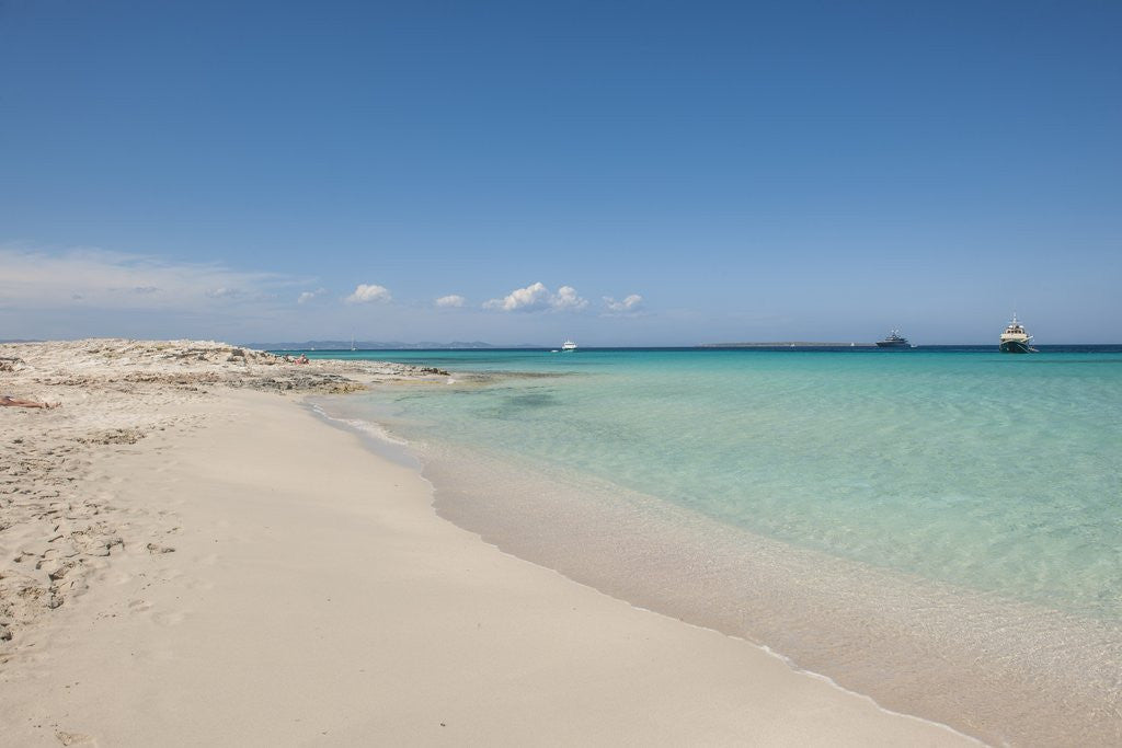 Detail of Balearic Islands - beach called 'platja de LLevant', parc des salines by Anonymous