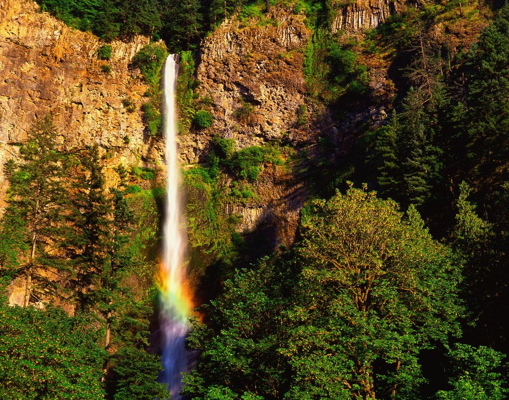 Detail of Multnomah Falls rainbow by Anonymous