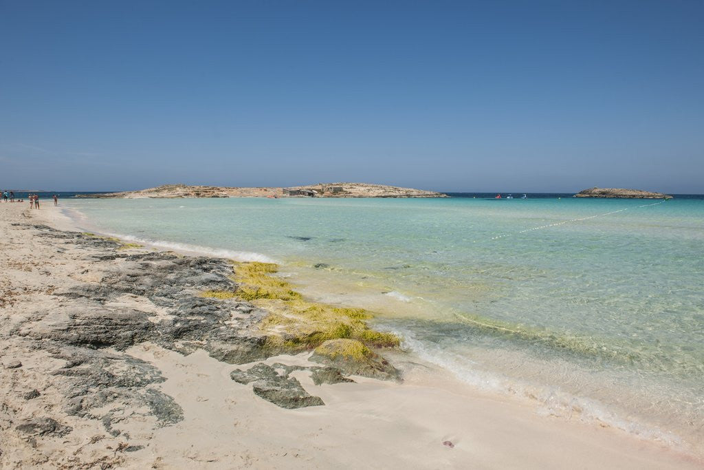 Detail of Balearic Islands - Ses Illetes beach by Anonymous