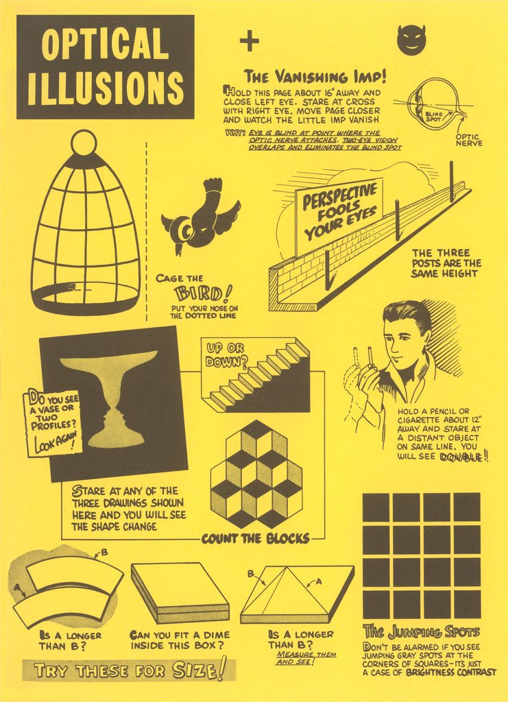 Detail of Optical Illusions by Anonymous