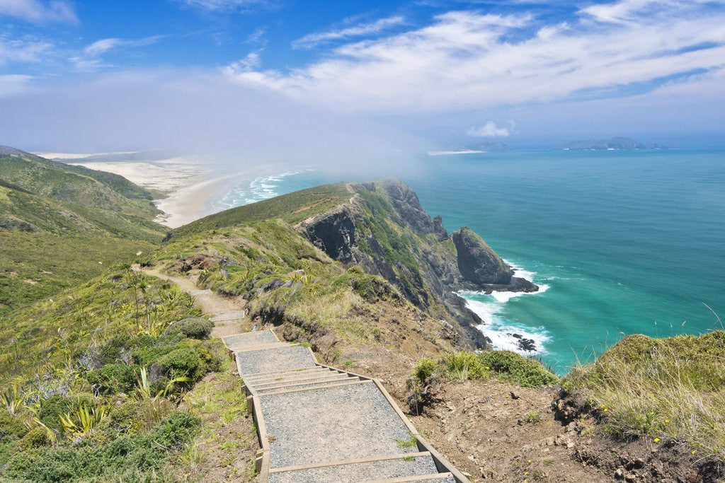 Detail of Te Werahi Beach Track by Anonymous