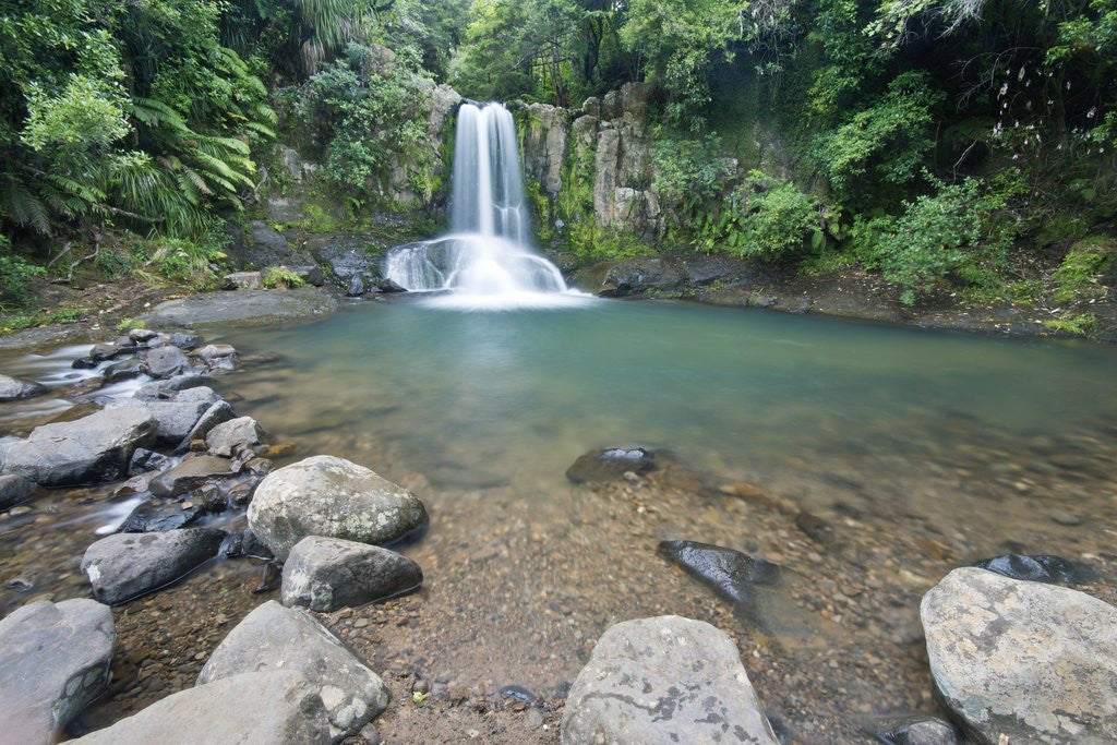 Detail of Waiau Falls by Anonymous