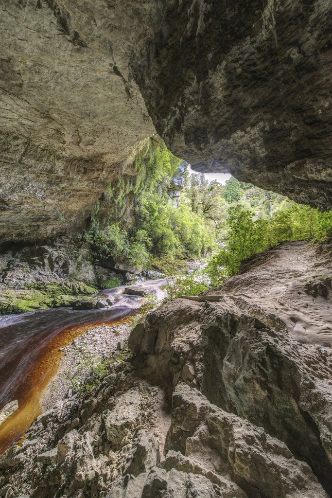 Detail of Oparara Arch by Anonymous