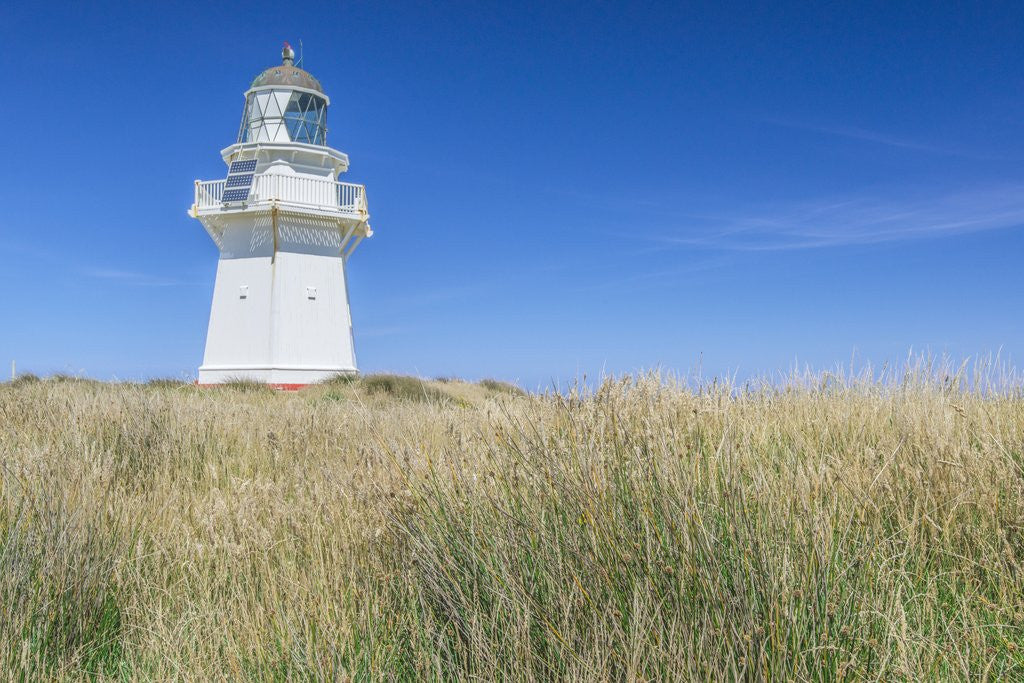 Detail of Waipapa Lighthouse by Anonymous