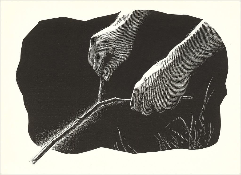 Detail of Dowsing Rod by Anonymous