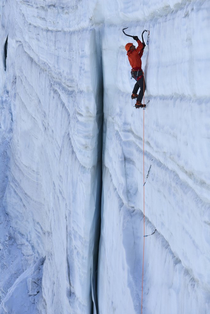 Detail of Ice climbing in the Bernes Oberland, Swiss Alps by Anonymous