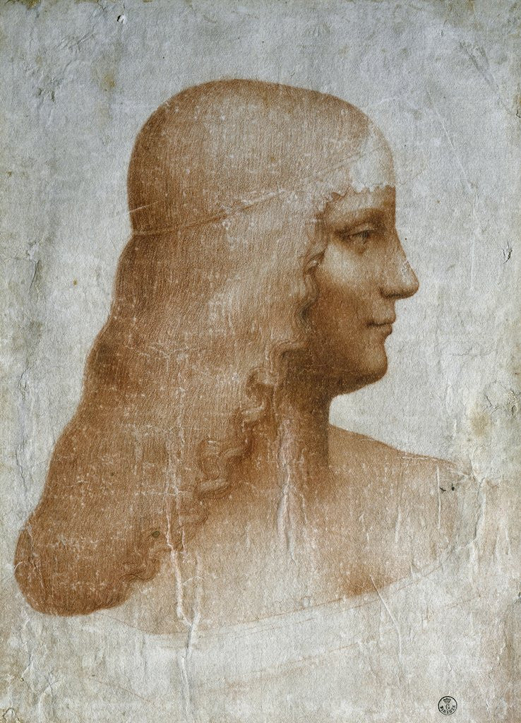 Detail of Portrait of Isabella d'Este - Drawing by Leonardo da Vinci