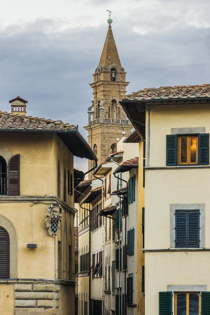 Detail of The Sdrucciolo (street) dei Pitti and the bell-tower of the Chiesa (church) di Santo Spirito by Anonymous