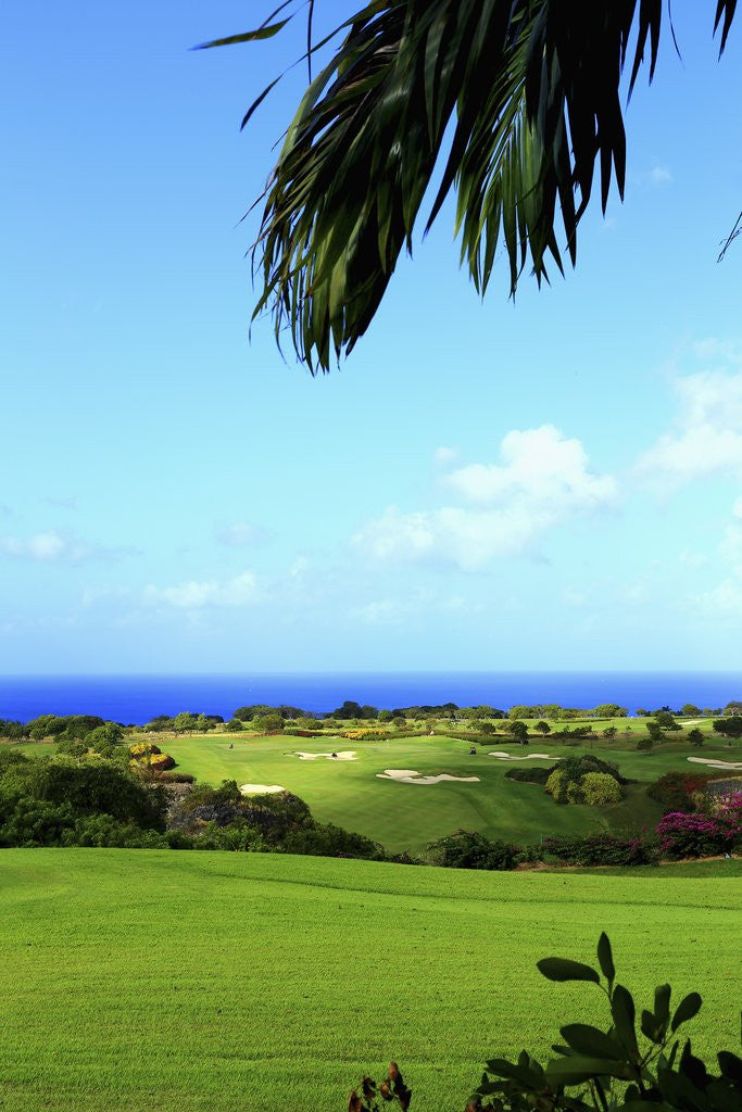 Detail of Sandy Lane, Green Monkey golf course by Anonymous
