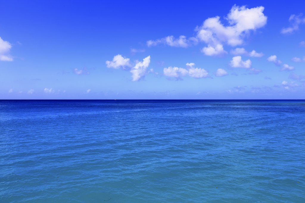 Detail of Caribbean Sea, West coast of Barbados by Anonymous
